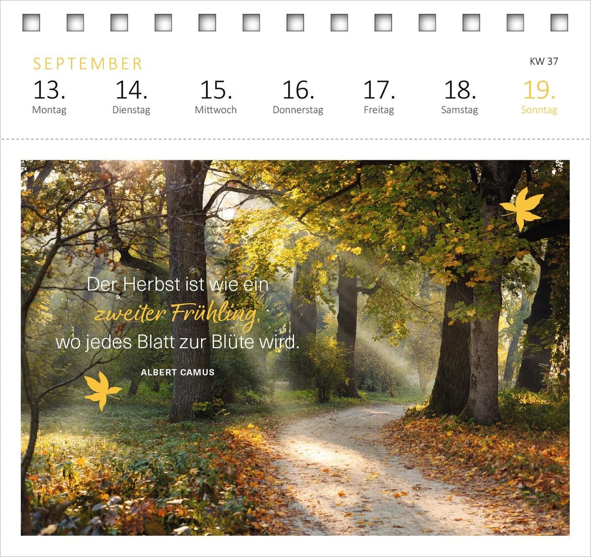 Postkartenkalender 365 Tage Achtsamkeit 2027 – Ansicht