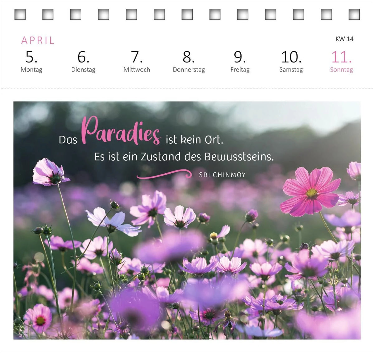 Postkartenkalender 365 Tage Gelassenheit 2027 – Ansicht