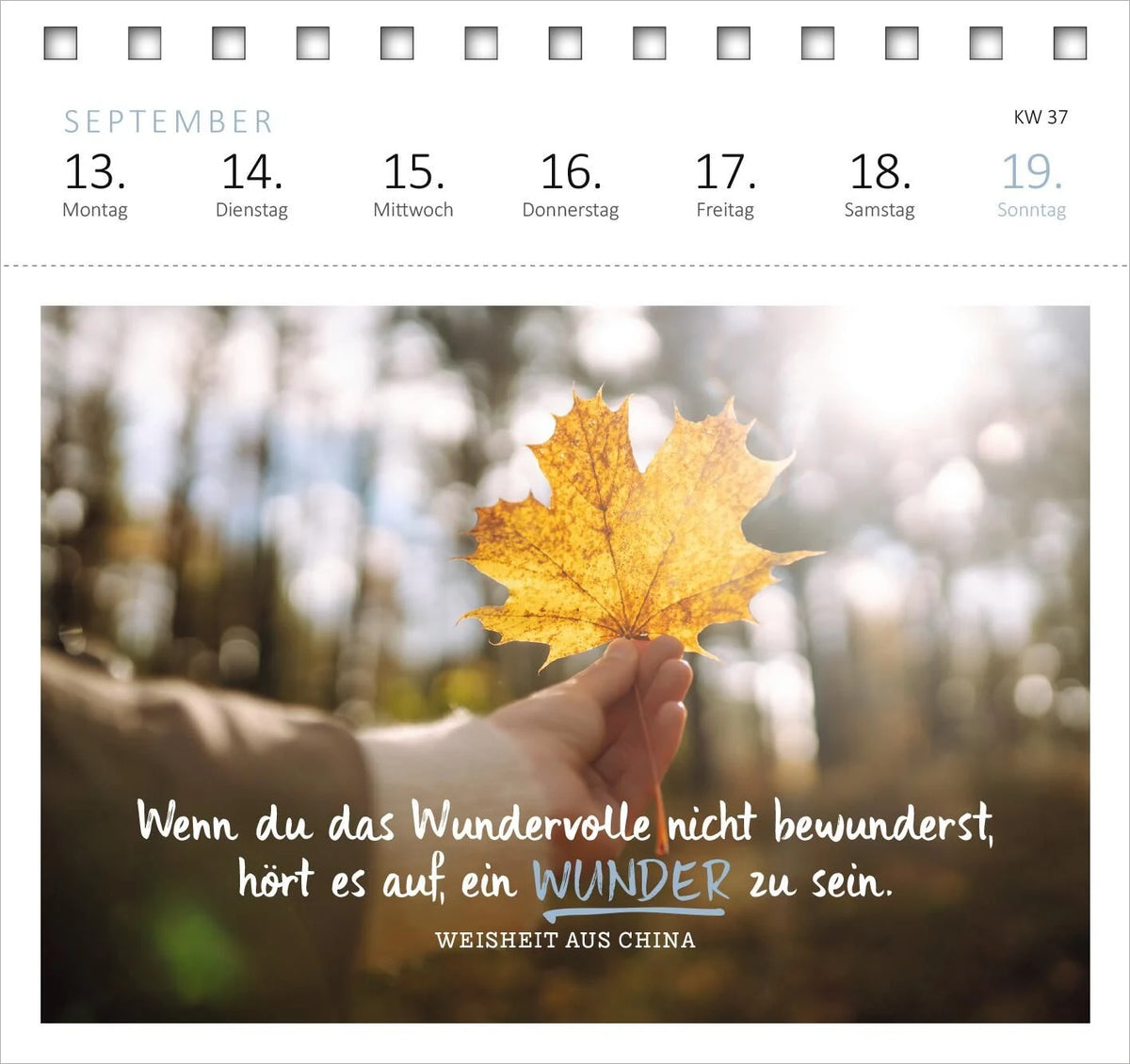 Postkartenkalender Ich wünsch dir was 2027 – Ansicht