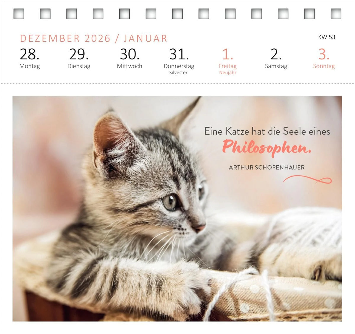 Postkartenkalender Katzenweisheiten 2027 – Ansicht