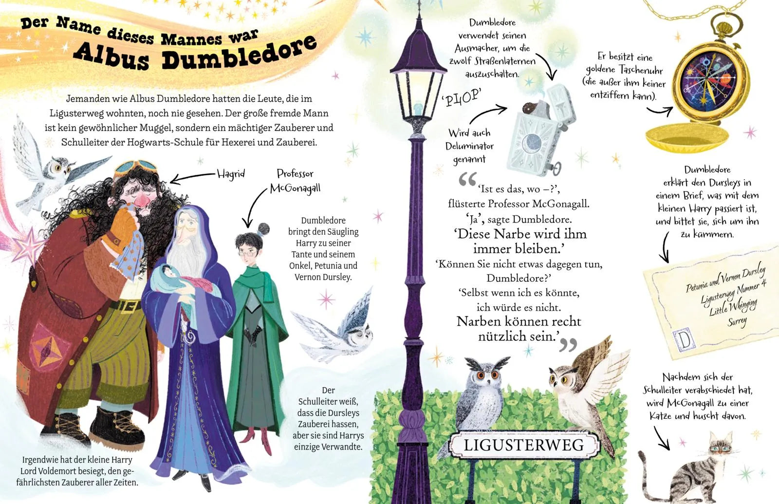 Produktansicht: Potter Guides: Professor Dumbledore (Gebundene Ausgabe)