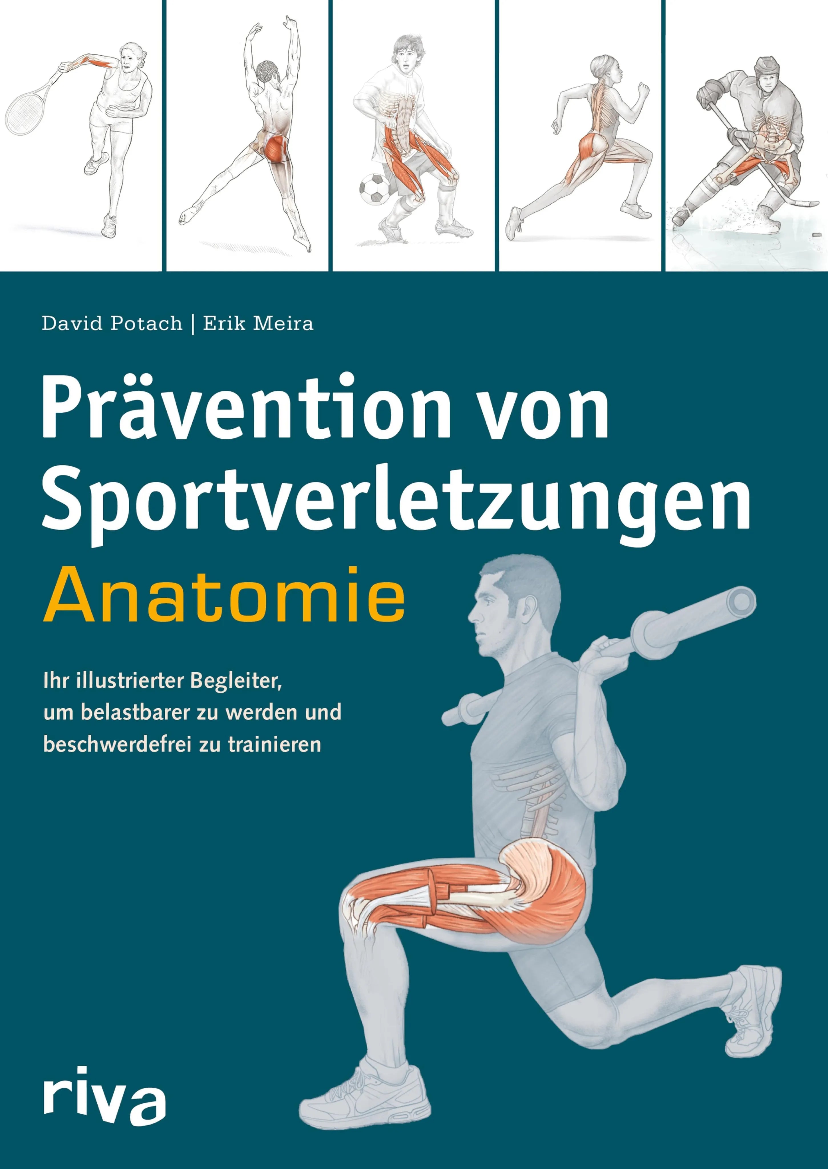 Cover: Prävention von Sportverletzungen – Anatomie (E-Book) von David Potach