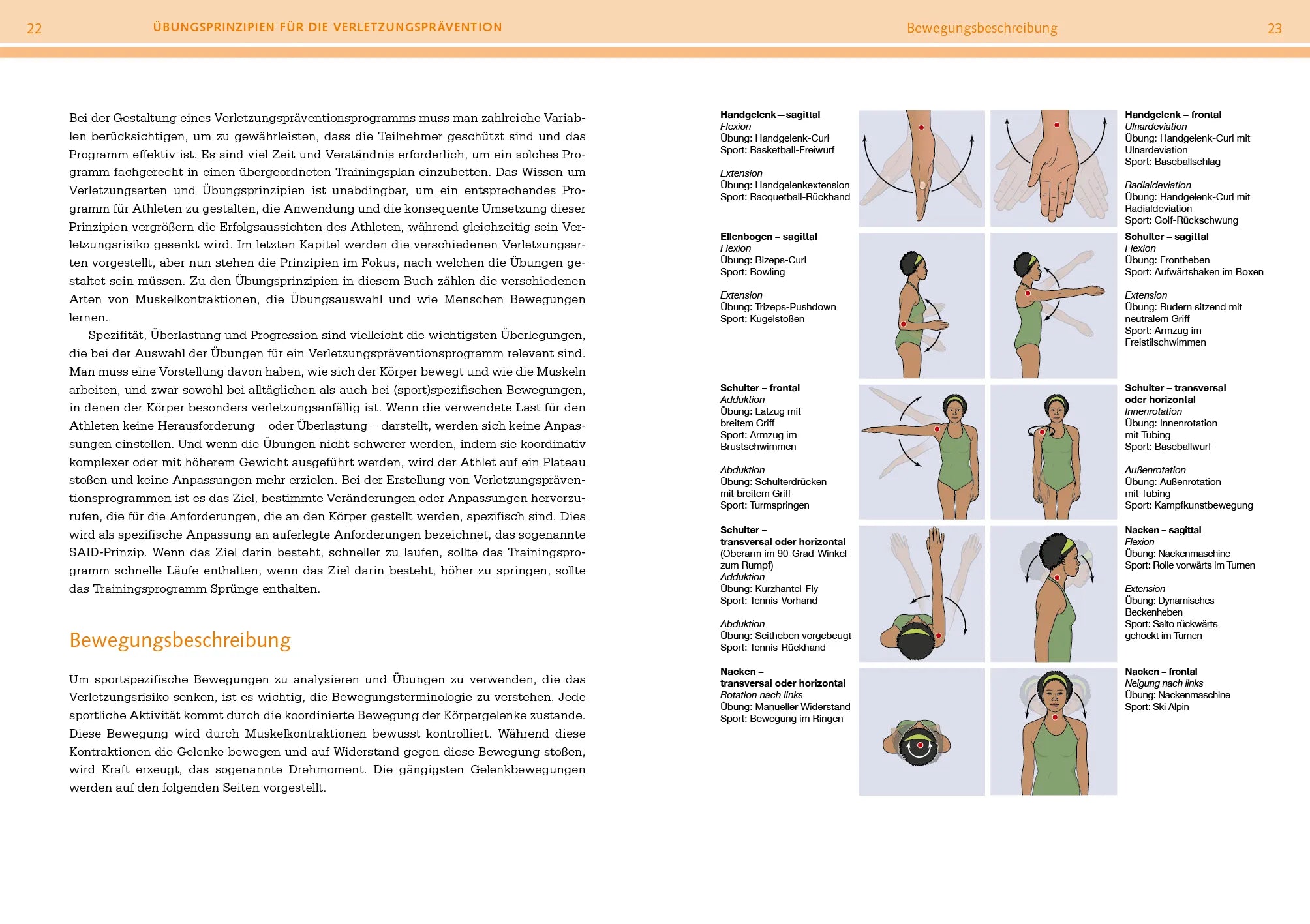 Innenansicht von 'Prävention von Sportverletzungen – Anatomie' - Taschenbuch