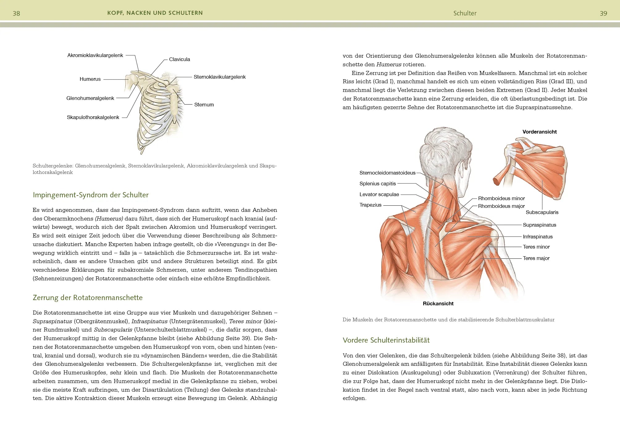 Innenansicht von 'Prävention von Sportverletzungen – Anatomie' - Taschenbuch