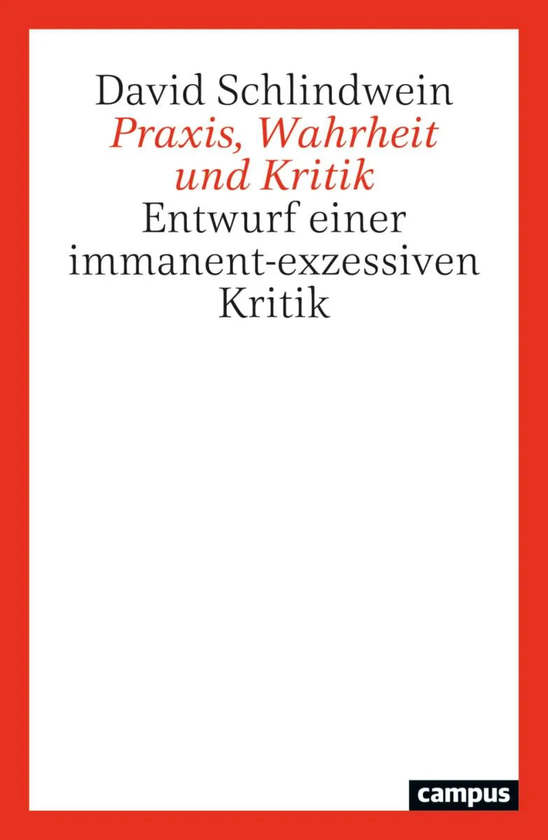 Cover: Praxis, Wahrheit und Kritik (E-Book) von David Schlindwein