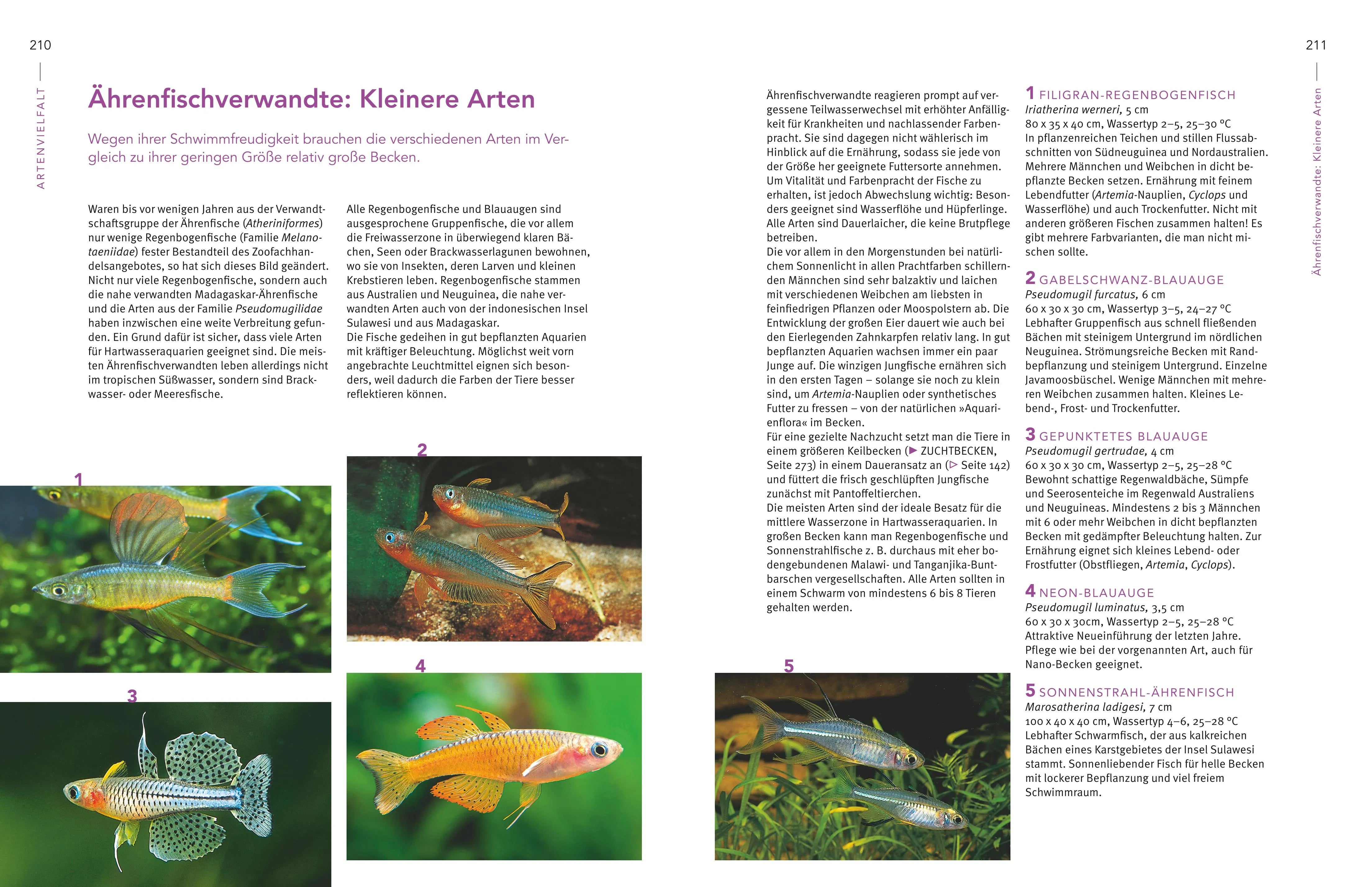 Produktansicht: Praxishandbuch Aquarium (Gebundene Ausgabe)