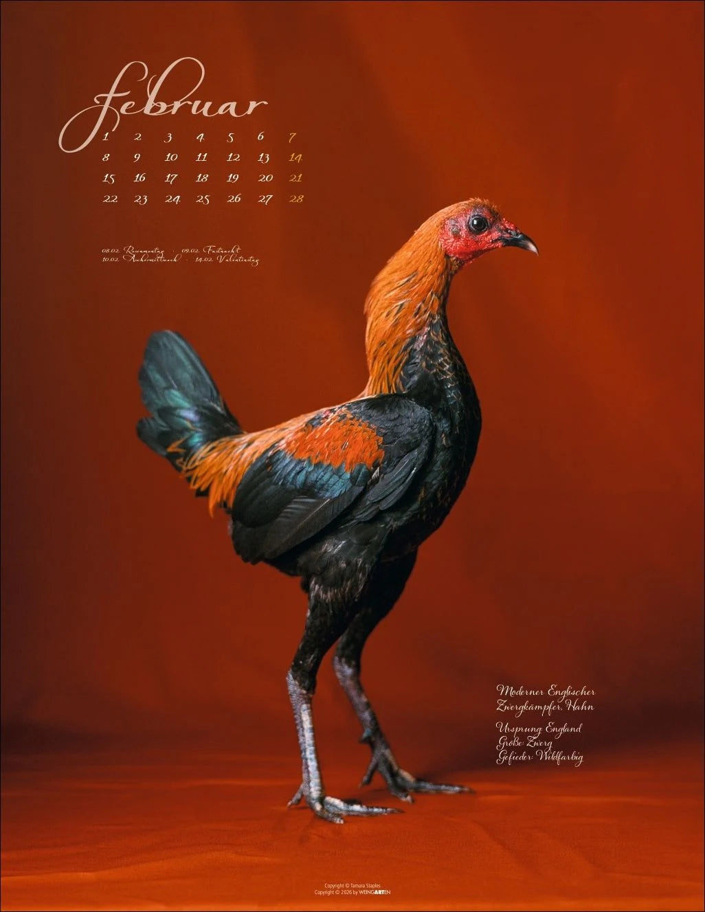 Pretty Chicks Kalender 2027 – Ansicht
