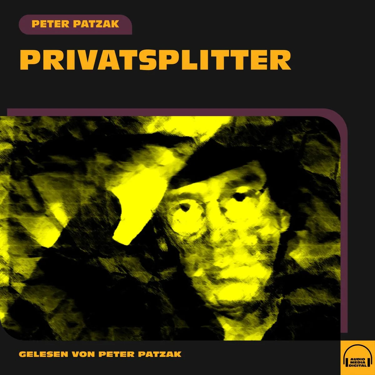Cover: Privatsplitter (Hörbuch Download) von Peter Patzak