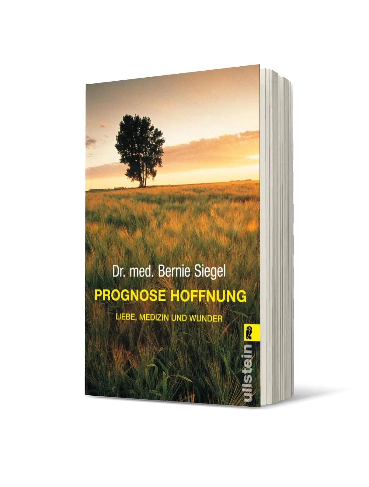 Bernie Siegel - Prognose Hoffnung