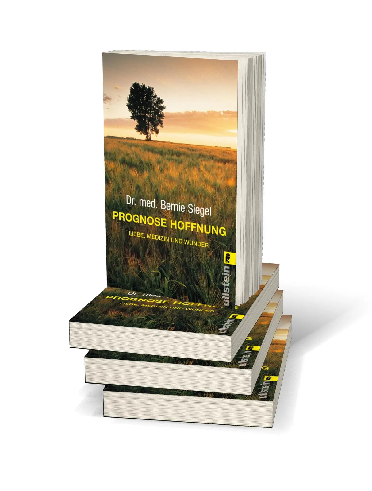 Produktansicht: Prognose Hoffnung (Taschenbuch)