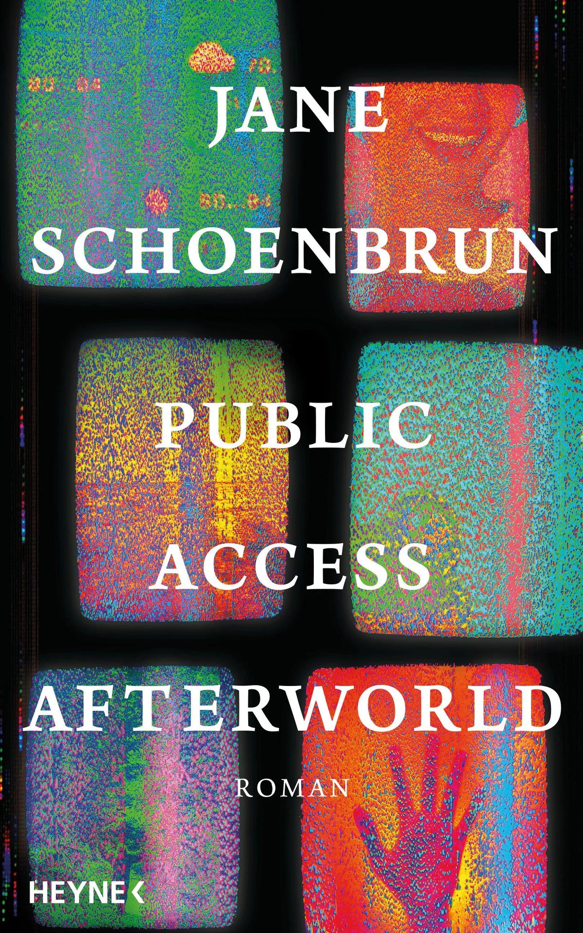 Cover: Public Access Afterworld (Hardcover) von Jane Schoenbrun