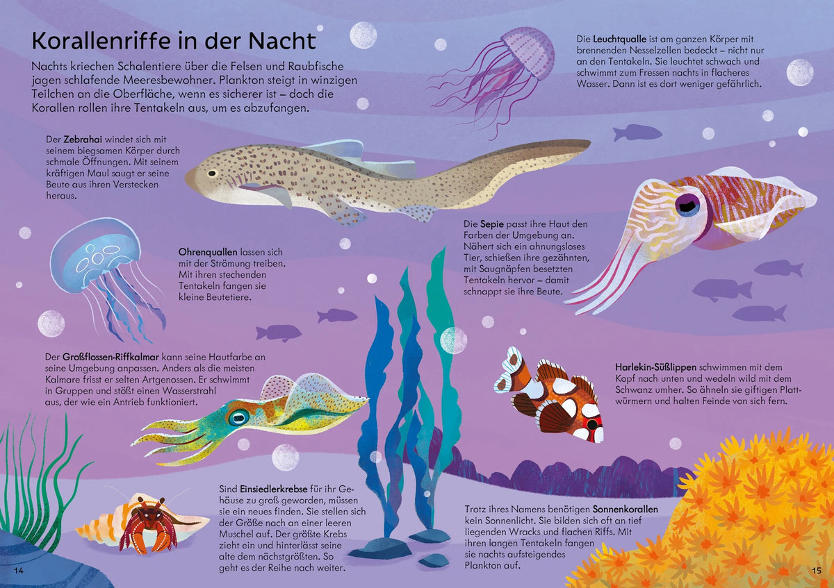 Puzzle & Buch: Das Korallenriff – Ansicht