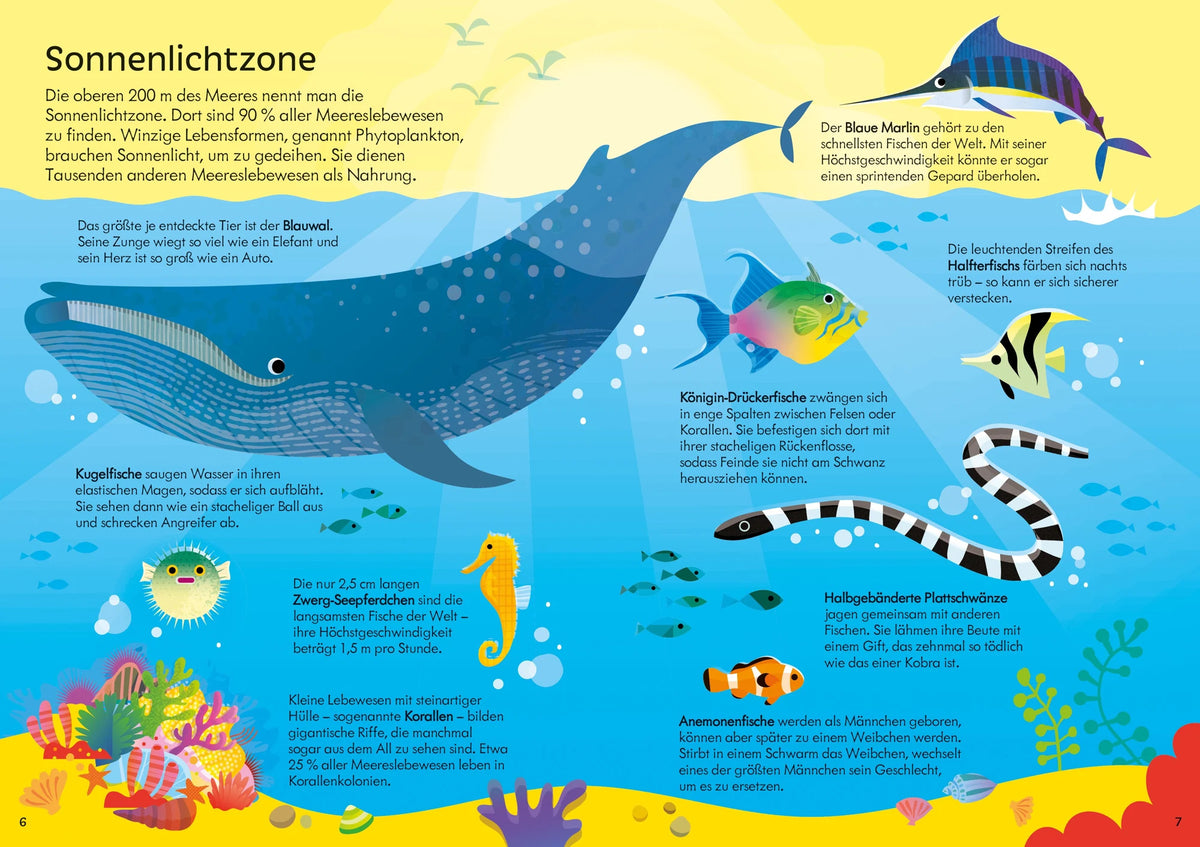 Puzzle & Buch: Tiere im Ozean – Ansicht