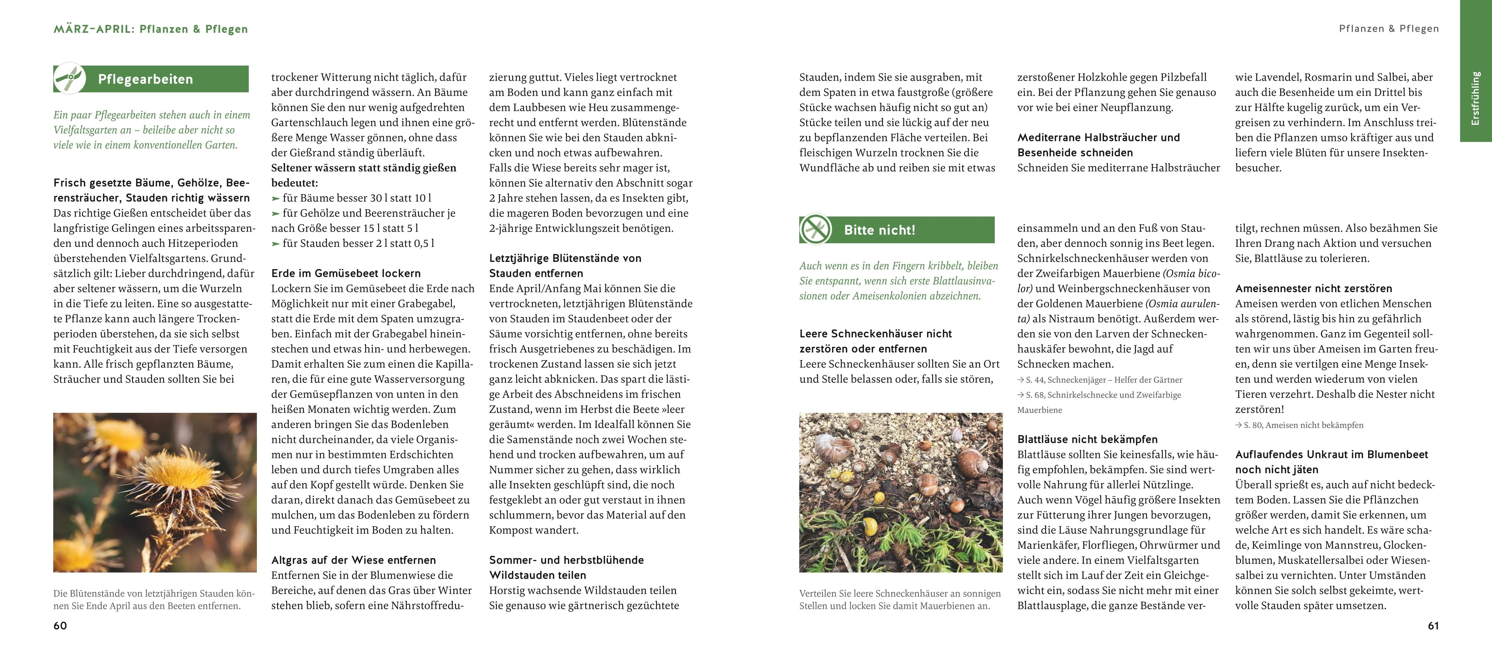 Produktansicht: Quickfinder Artenvielfalt im Gartenjahr (Paperback)