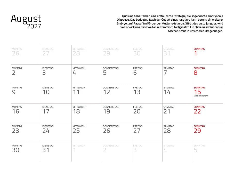 Quokka 2027 Planer Eintragkalender – Ansicht