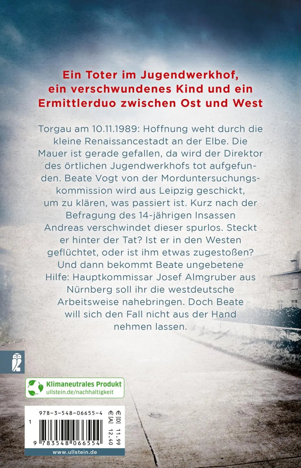 Buchrückseite von 'Rabenkinder' mit Klappentext - Taschenbuch