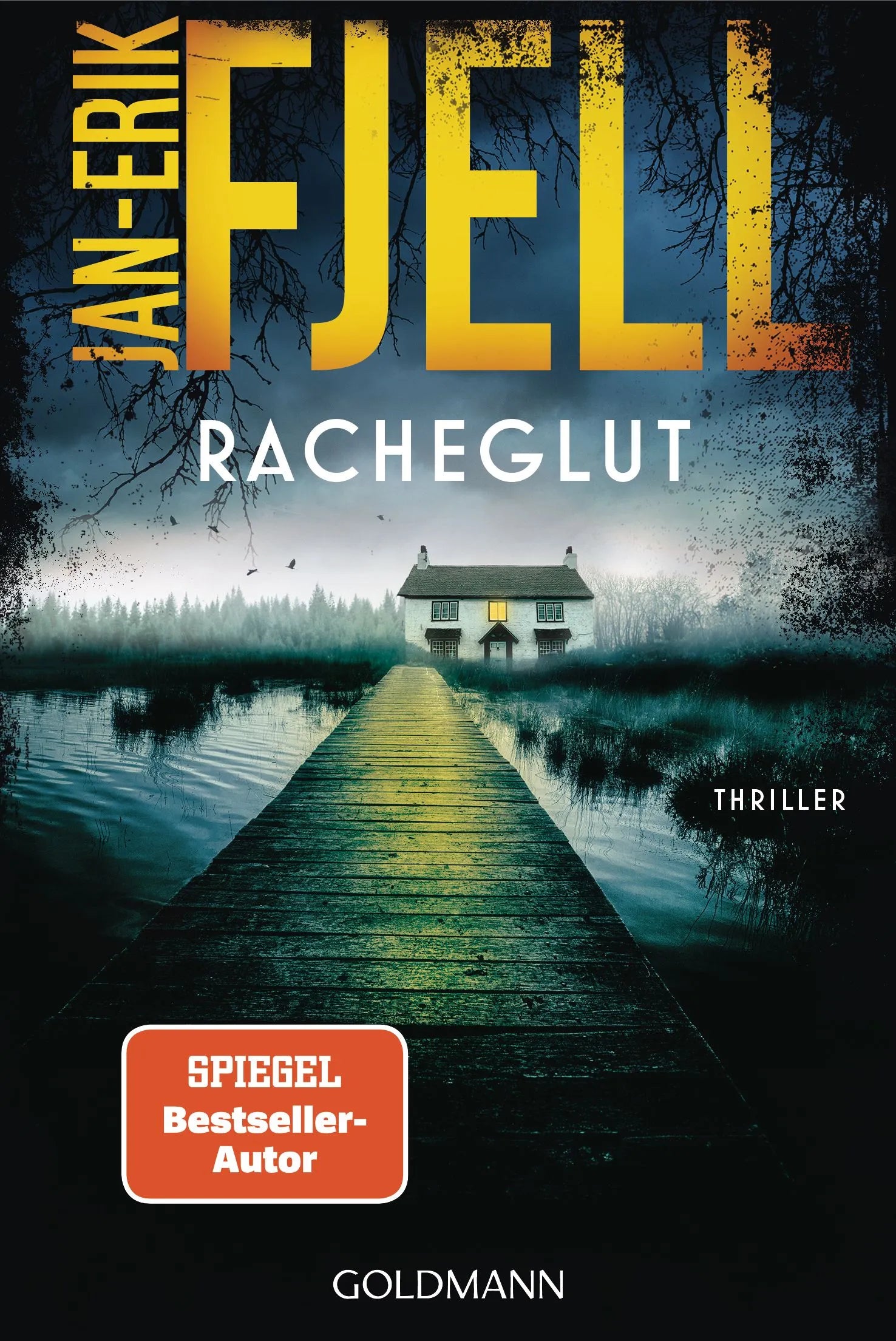 Cover: Racheglut (E-Book) von Jan-Erik Fjell