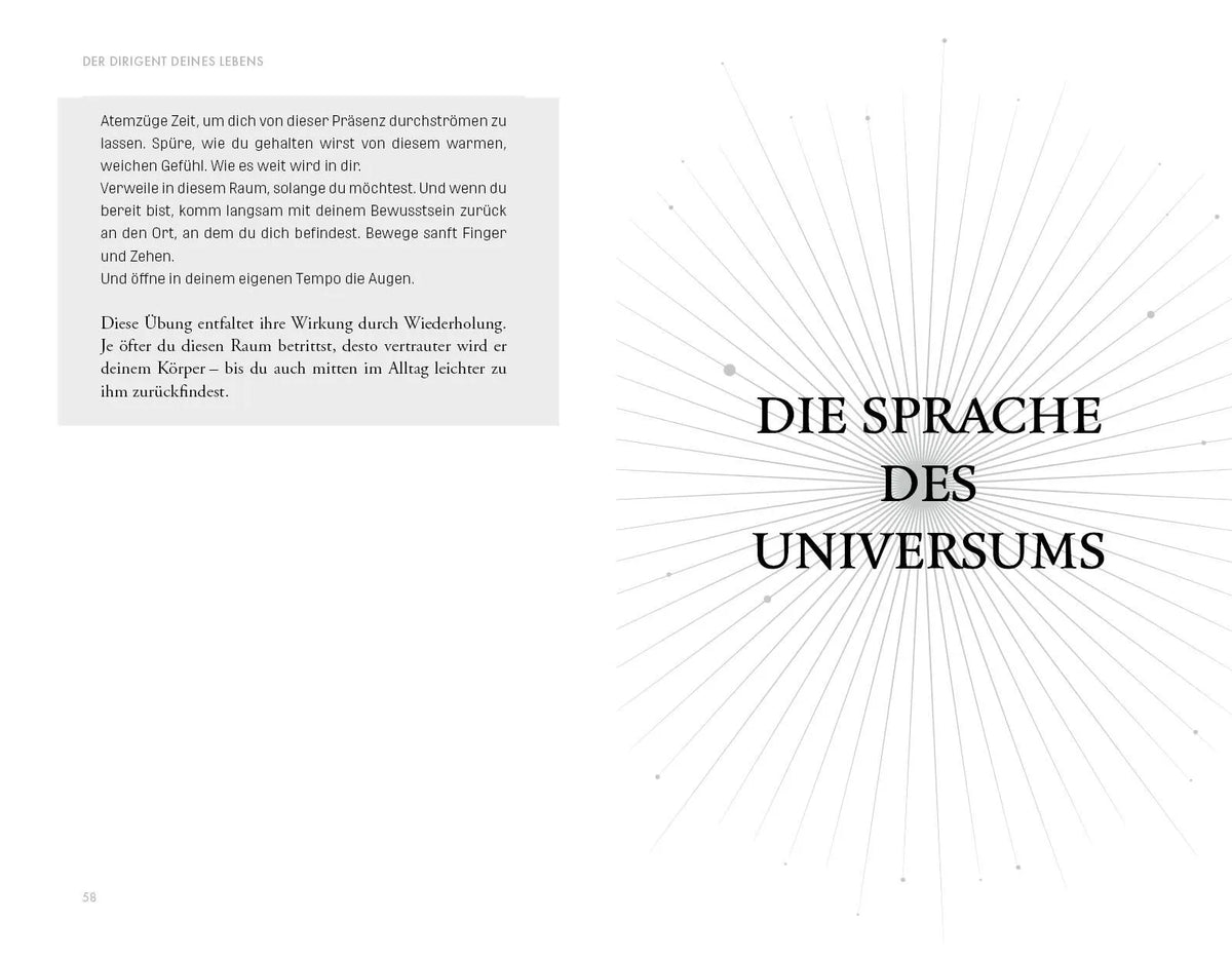 Detailansicht: Radikal intuitiv & maximal authentisch (Taschenbuch)