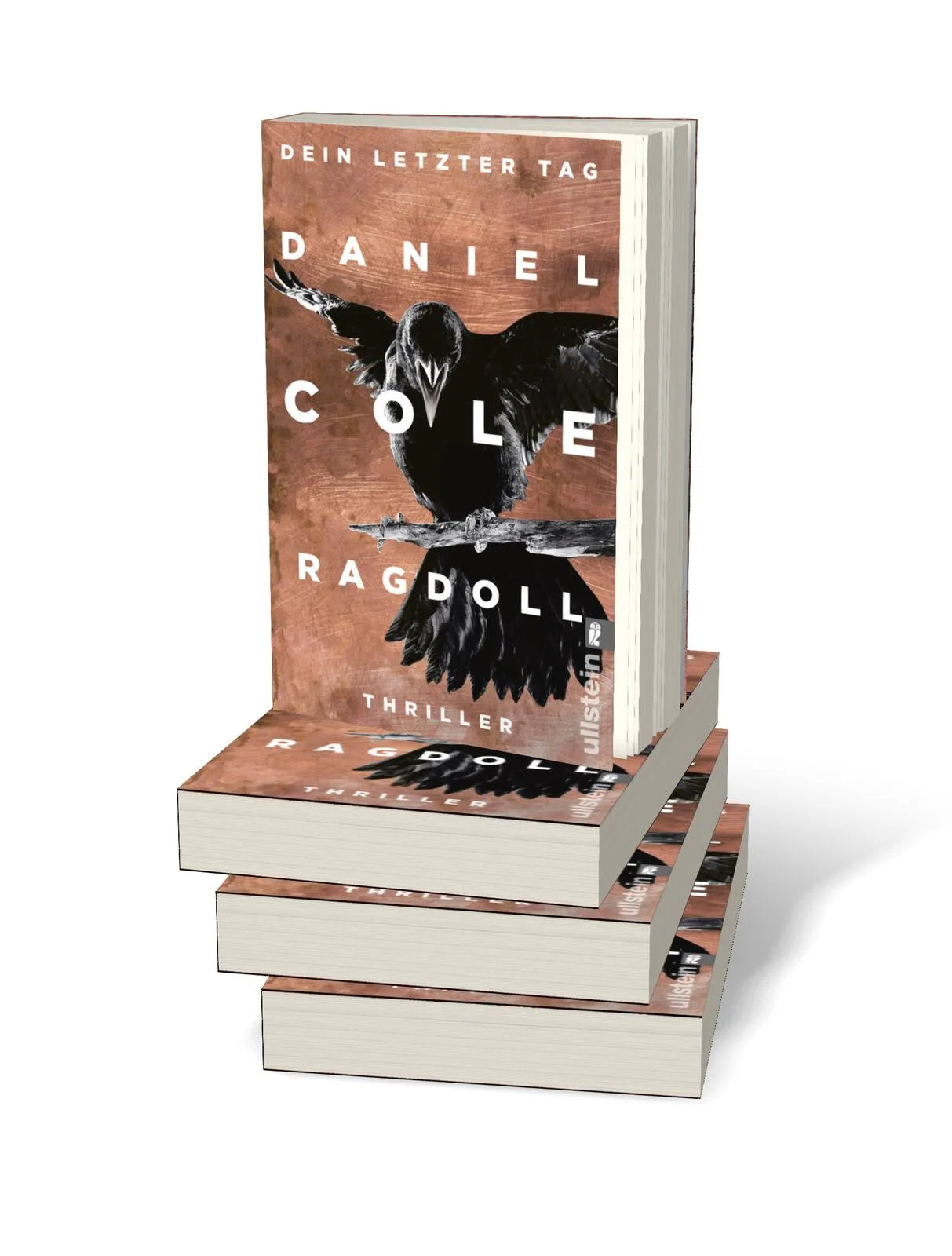 Abbildung von 'Ragdoll - Dein letzter Tag'