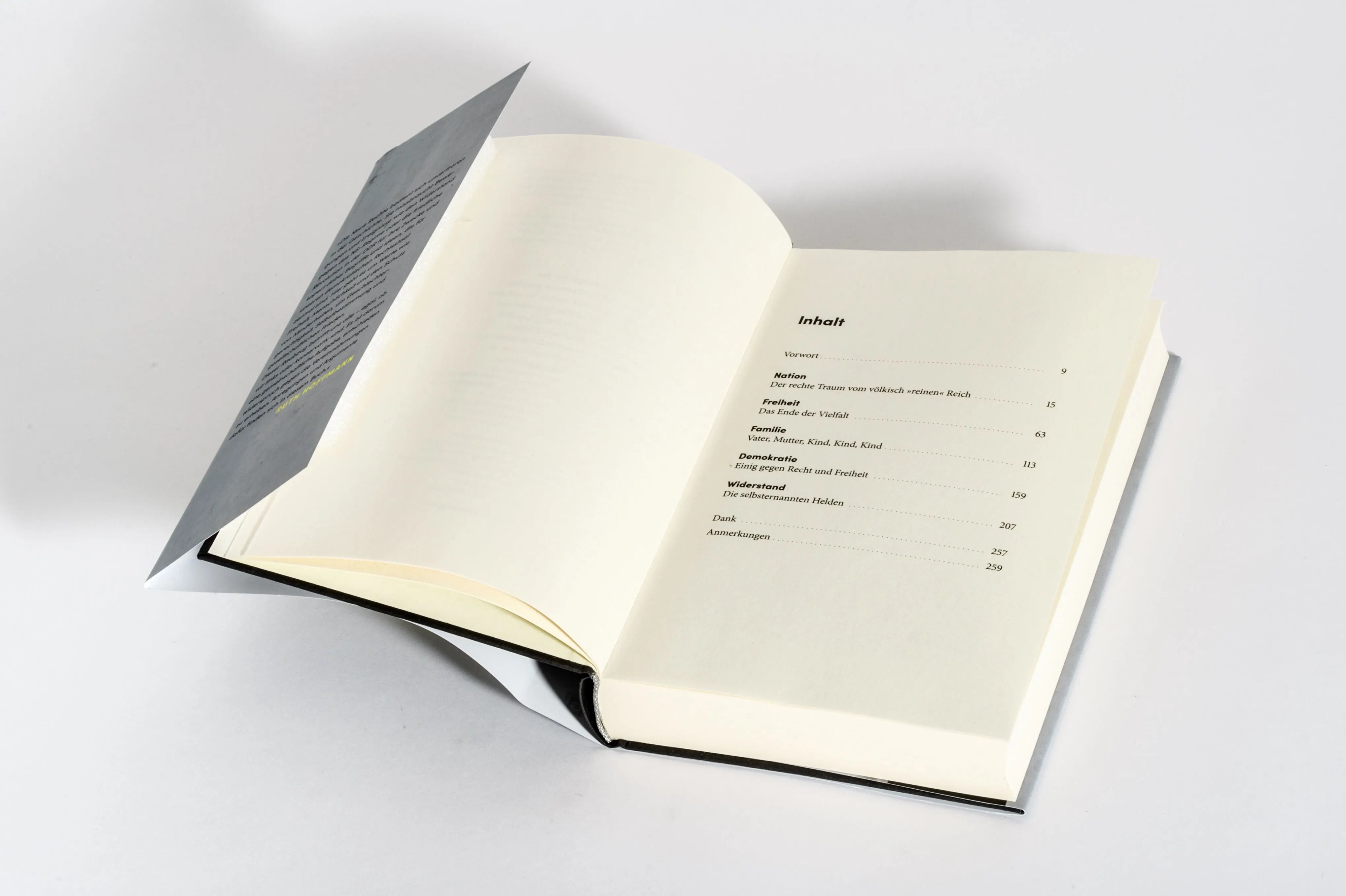 Detailansicht: Raubzug von rechts (Hardcover)