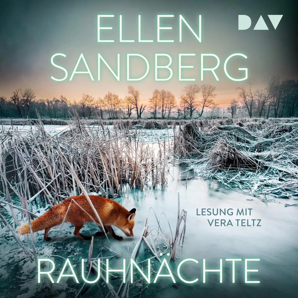 Cover: Rauhnächte (Hörbuch Download) von Ellen Sandberg
