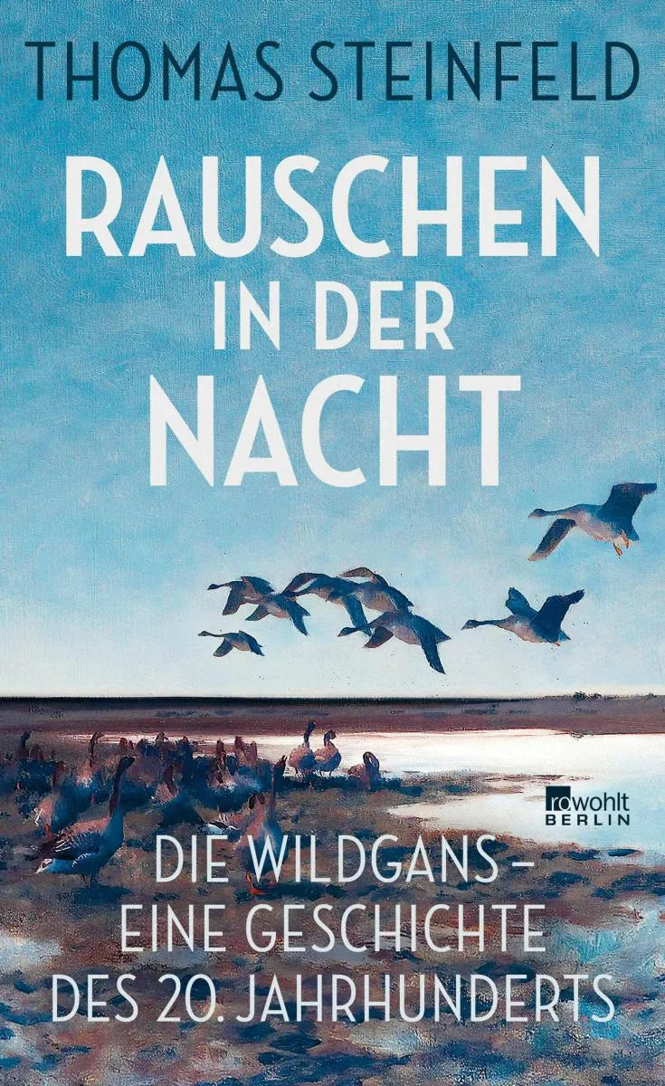 Cover: Rauschen in der Nacht (E-Book) von Thomas Steinfeld