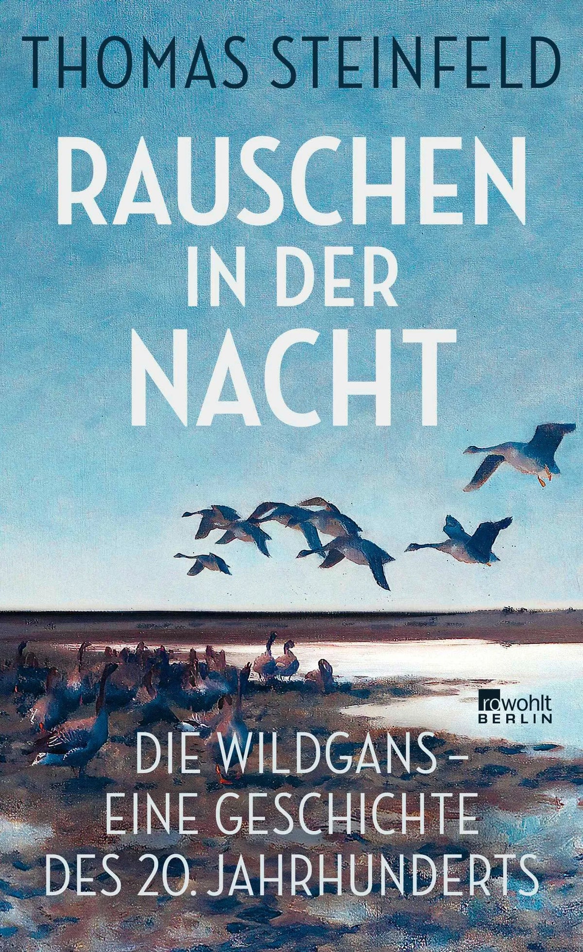 Cover: Rauschen in der Nacht (Hardcover) von Thomas Steinfeld