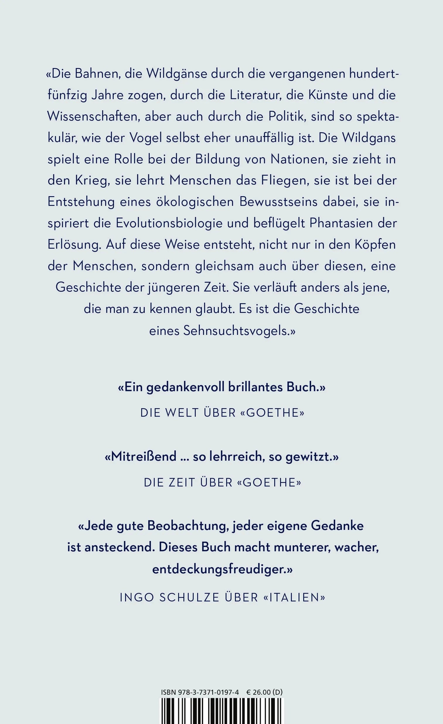 Buchrückseite von 'Rauschen in der Nacht' mit Klappentext - Gebundene Ausgabe