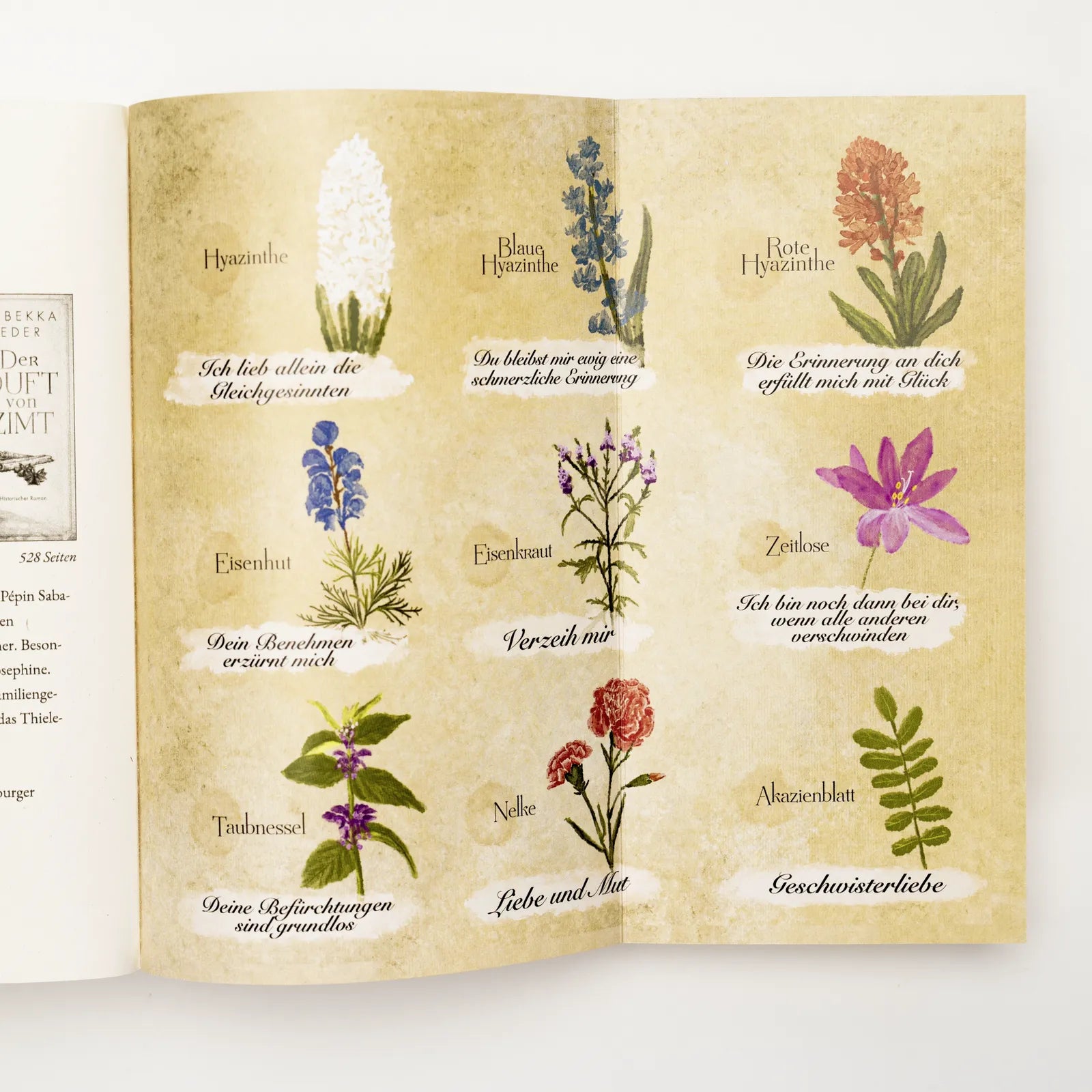 Produktansicht: Hyazinthenschwestern (Taschenbuch)