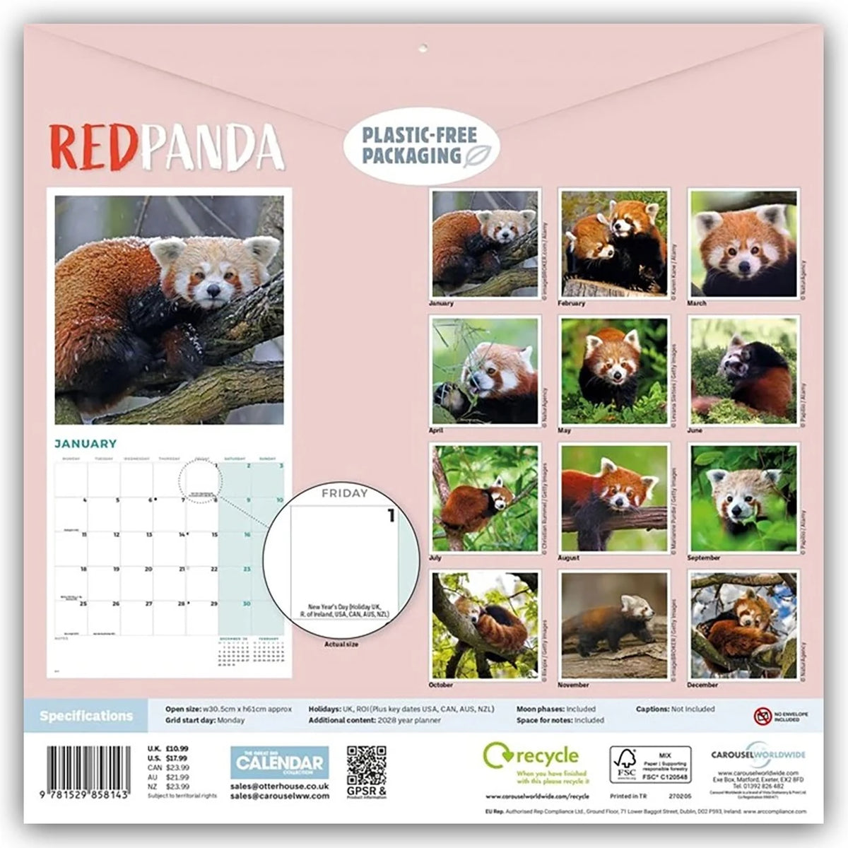 Red Panda – Rote Pandas – Rote Pandabären 2027 – Wand-Kalender – Ansicht