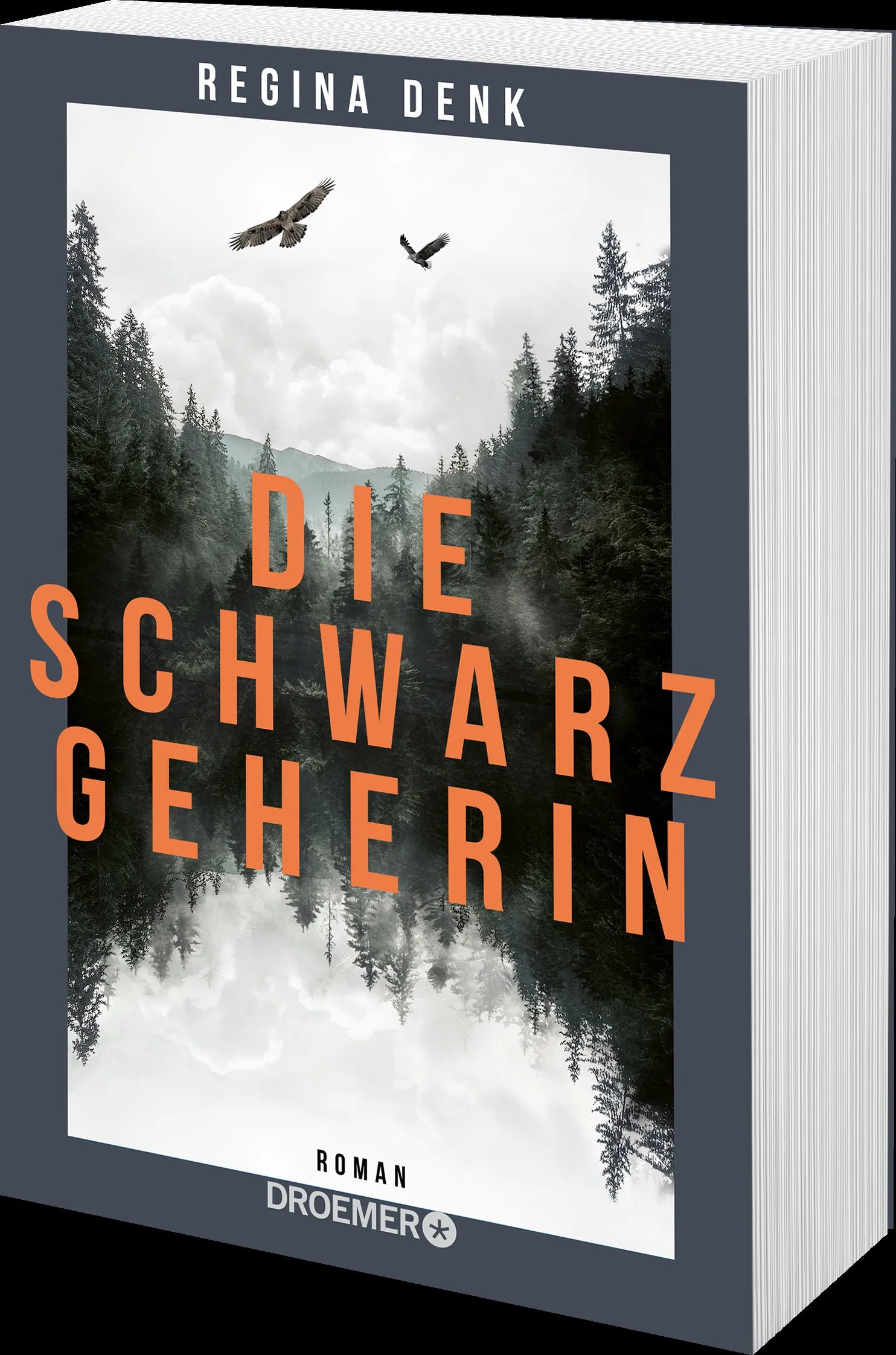 Produktansicht: Die Schwarzgeherin (Taschenbuch)