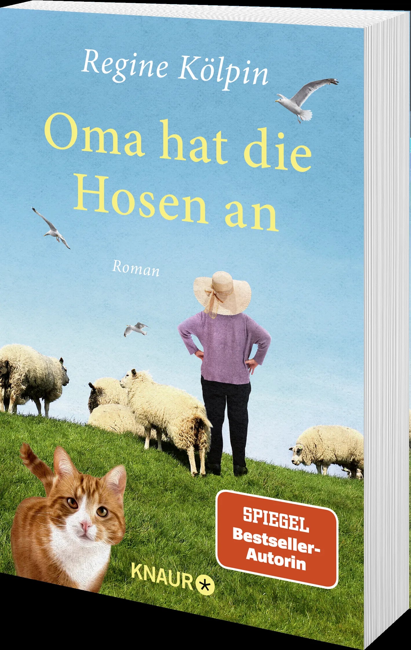 Produktansicht: Oma hat die Hosen an (Taschenbuch)