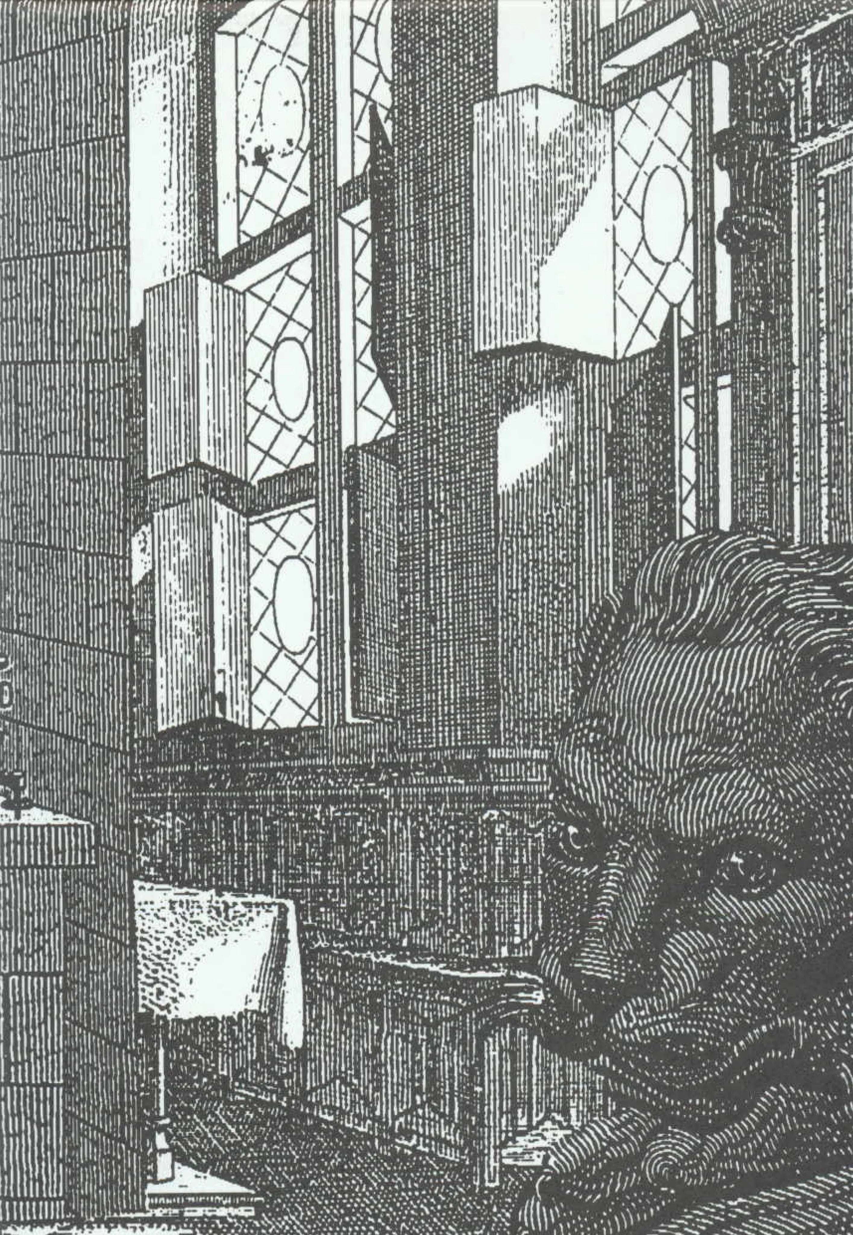 Buchcover von 'Rekonvaleszenz' - Gebundene Ausgabe von Peter Weiss