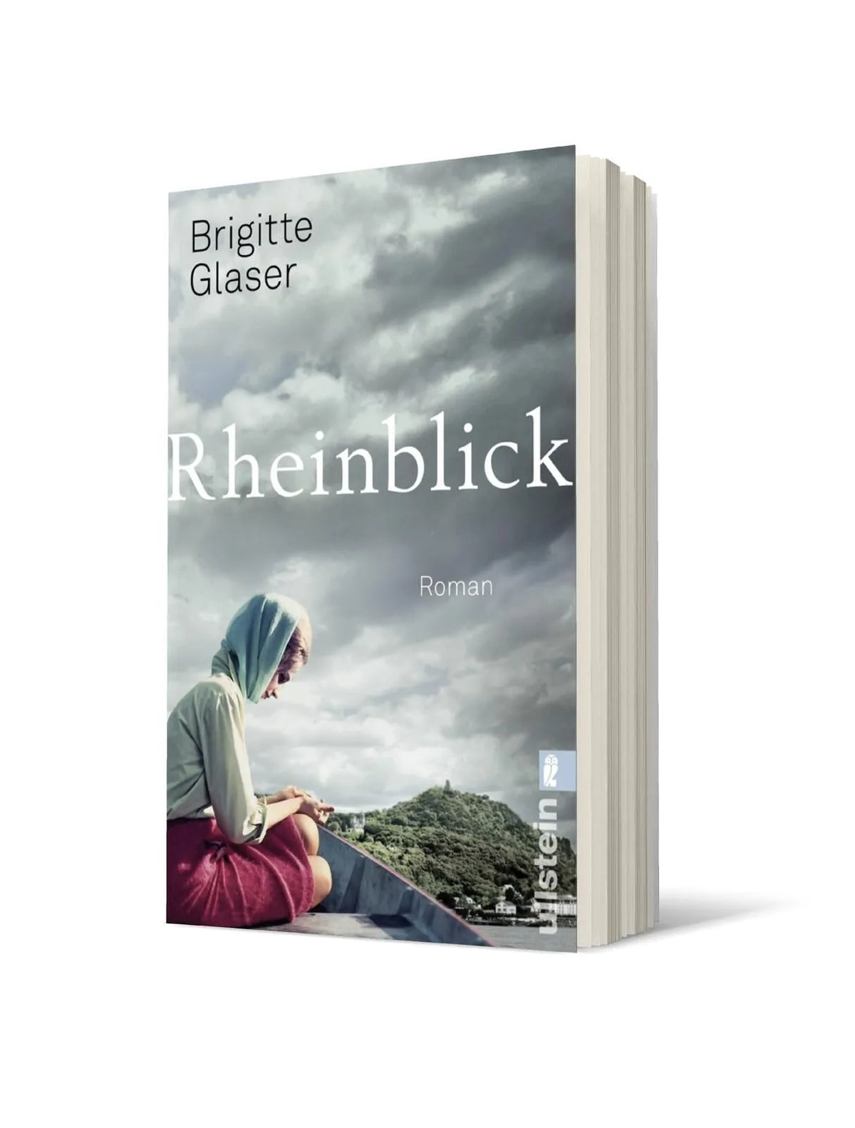 Detailansicht: Rheinblick (Taschenbuch)