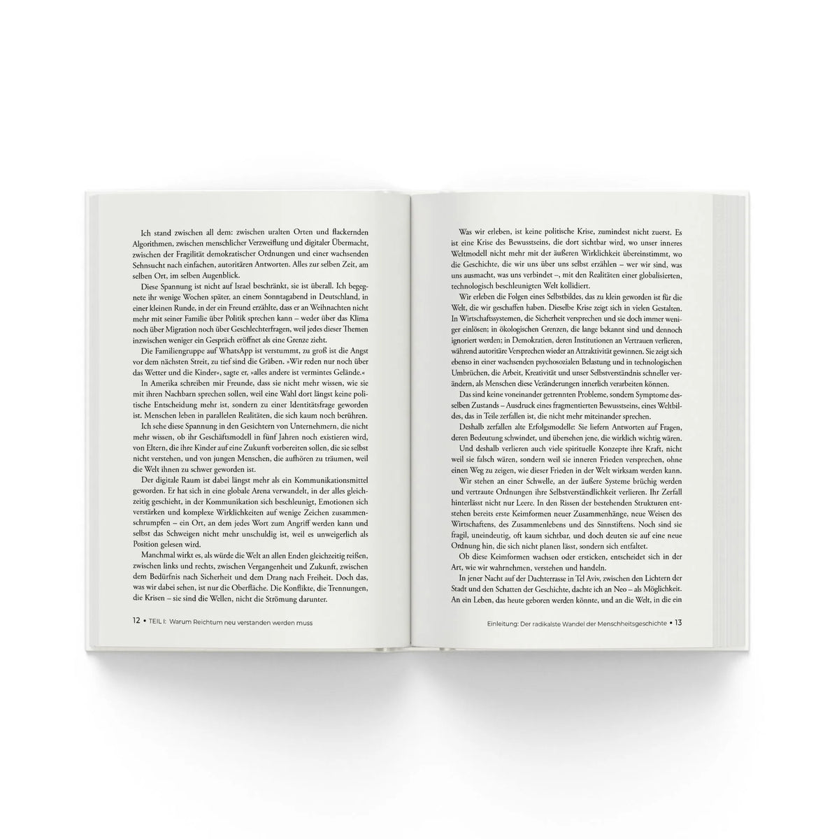 Detailansicht: Rich Buddha (Hardcover)