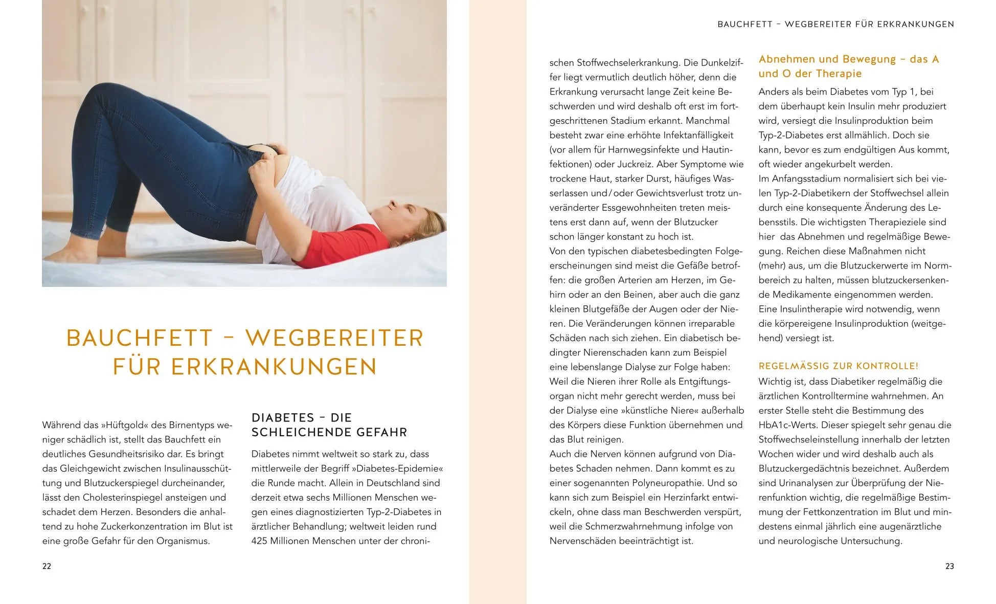 Produktansicht: Risiko Bauchfett (Taschenbuch)
