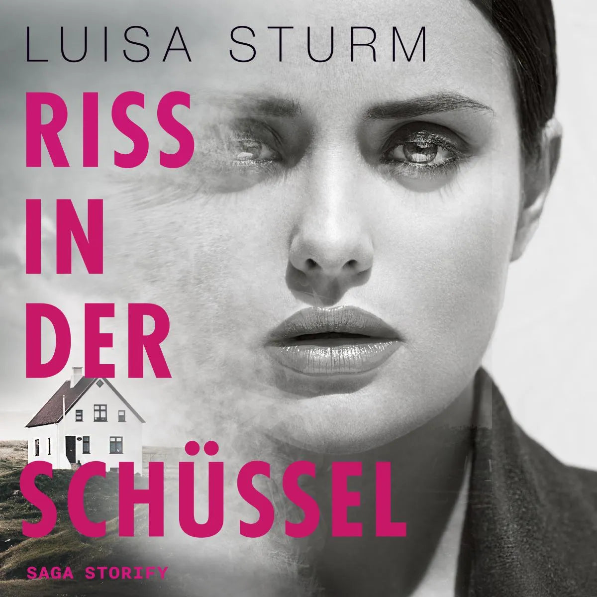 Cover: Riss in der Schüssel (Hörbuch Download) von Luisa Sturm