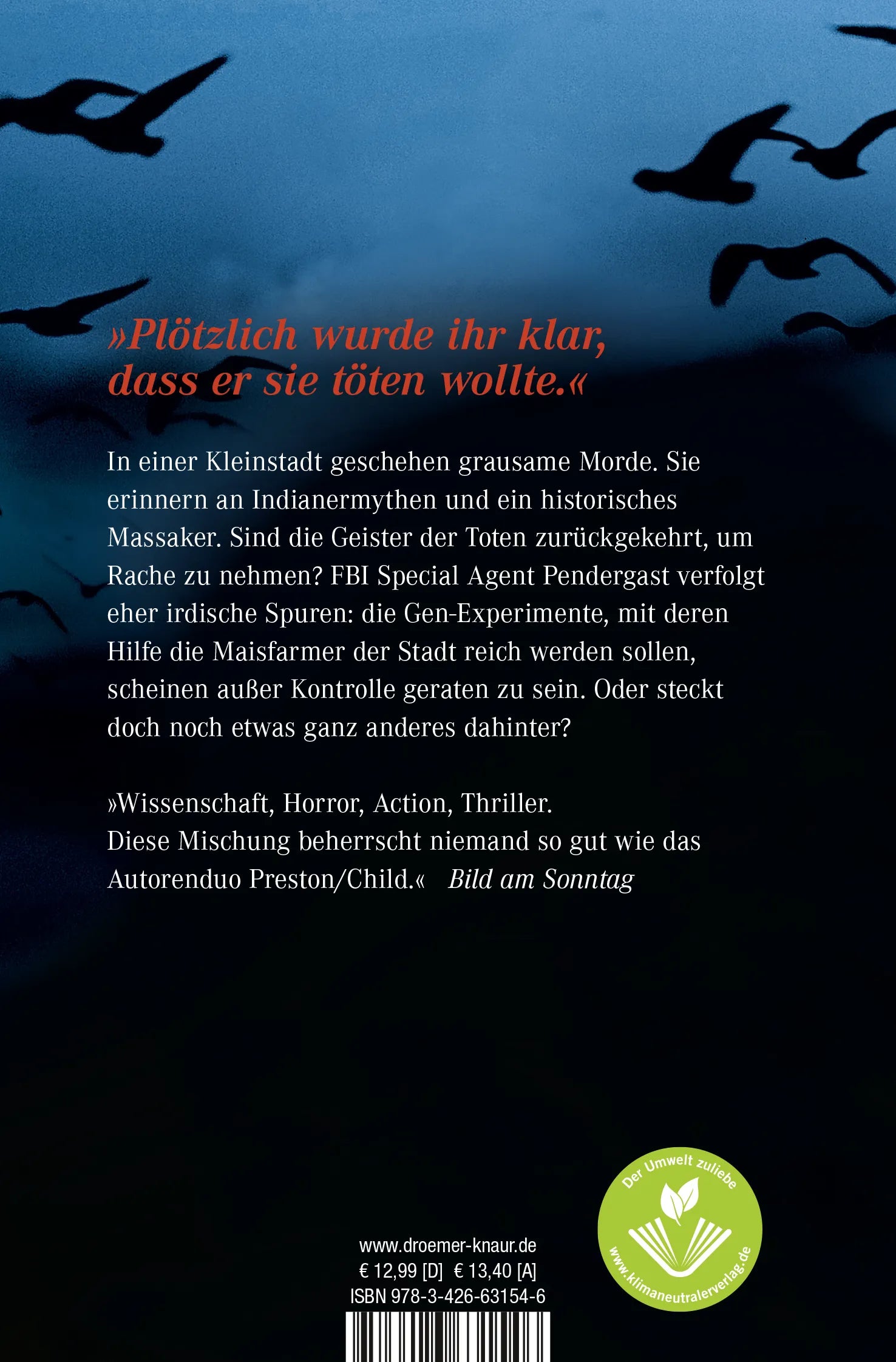 Buchrückseite von 'Ritual' mit Klappentext - Taschenbuch
