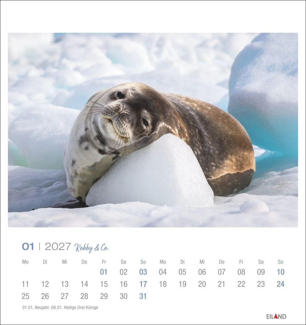 Robby & Co. Postkartenkalender 2027 – Ansicht