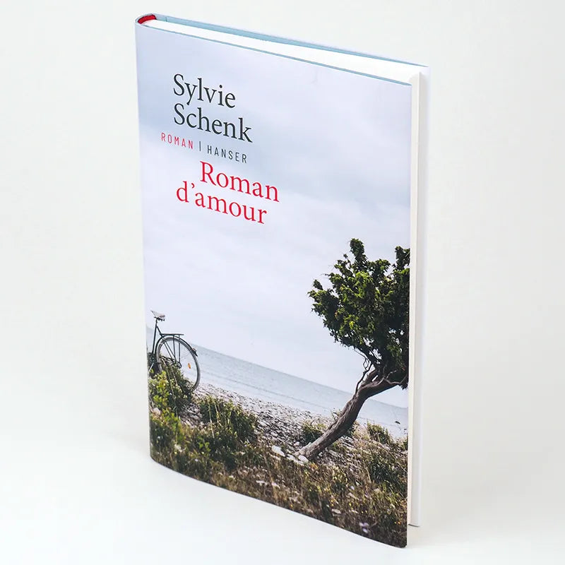 Abbildung von 'Roman d’amour'