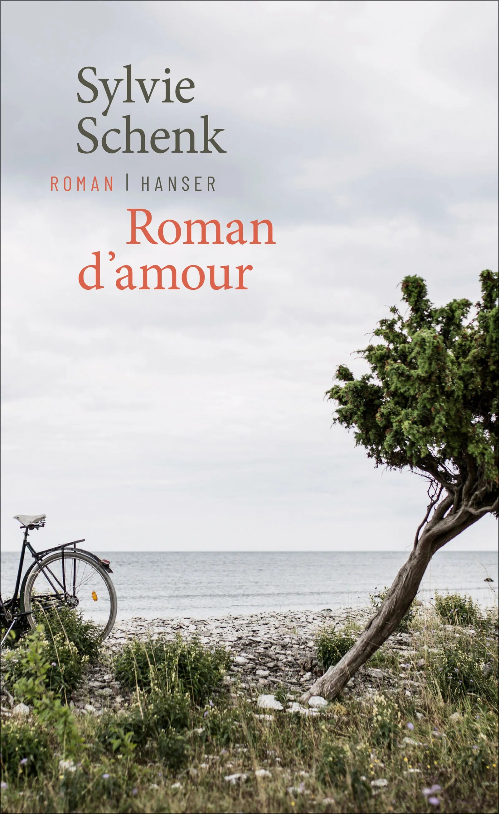 Buchcover von 'Roman d’amour' - Gebundene Ausgabe von Sylvie Schenk