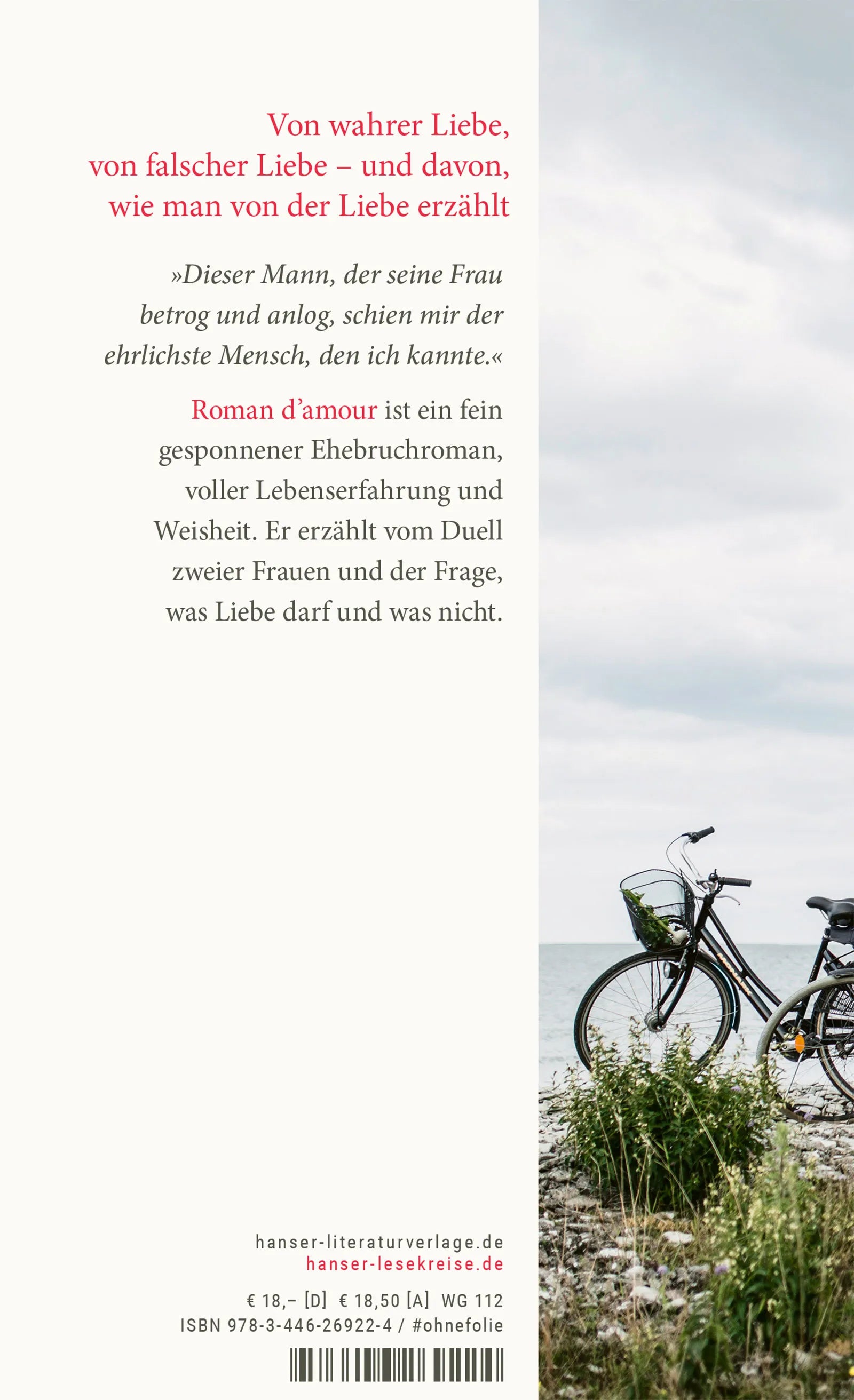 Produktansicht: Roman d’amour (Gebundene Ausgabe)