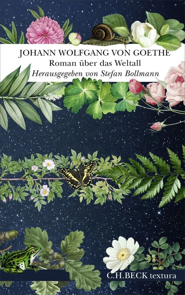 Cover: Roman über das Weltall (E-Book) von Johann Wolfgang Goethe