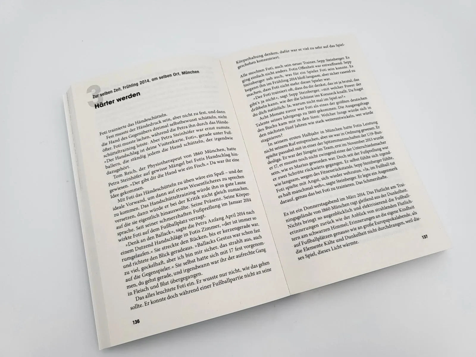 Produktansicht: Der große Traum (Taschenbuch)