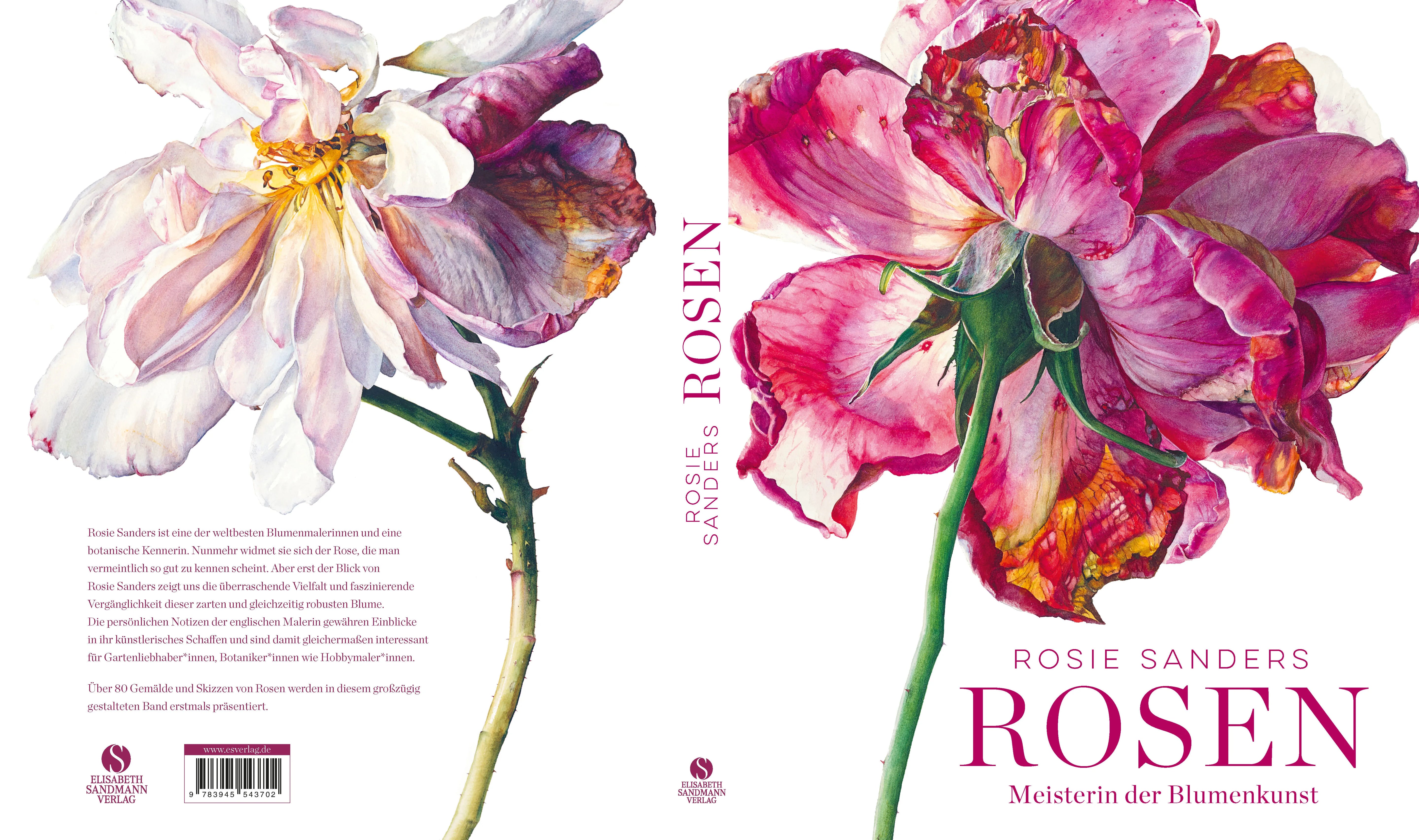 Rosie Sanders - Rosen