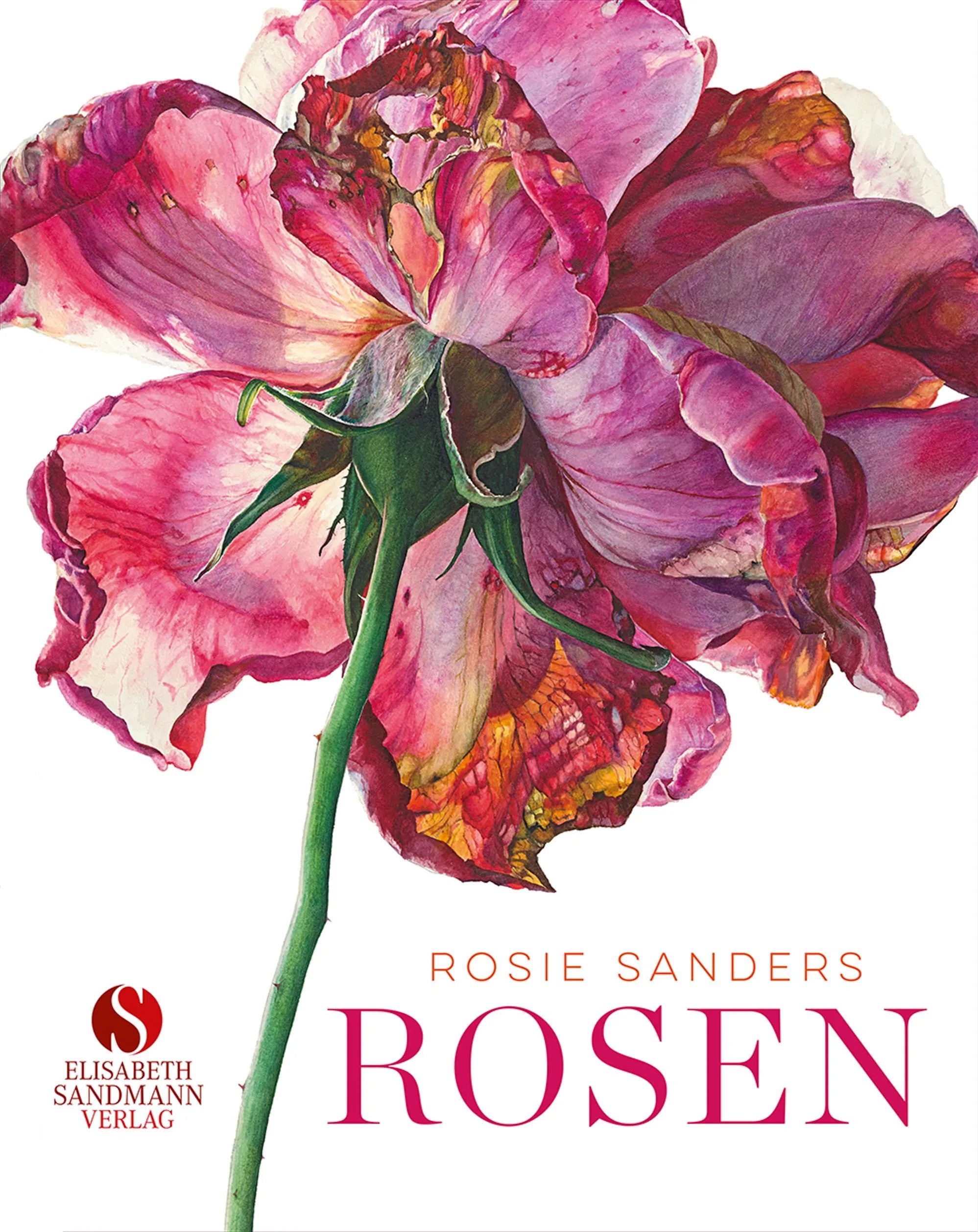 Buchcover von 'Rosen' - Gebundene Ausgabe von Rosie Sanders