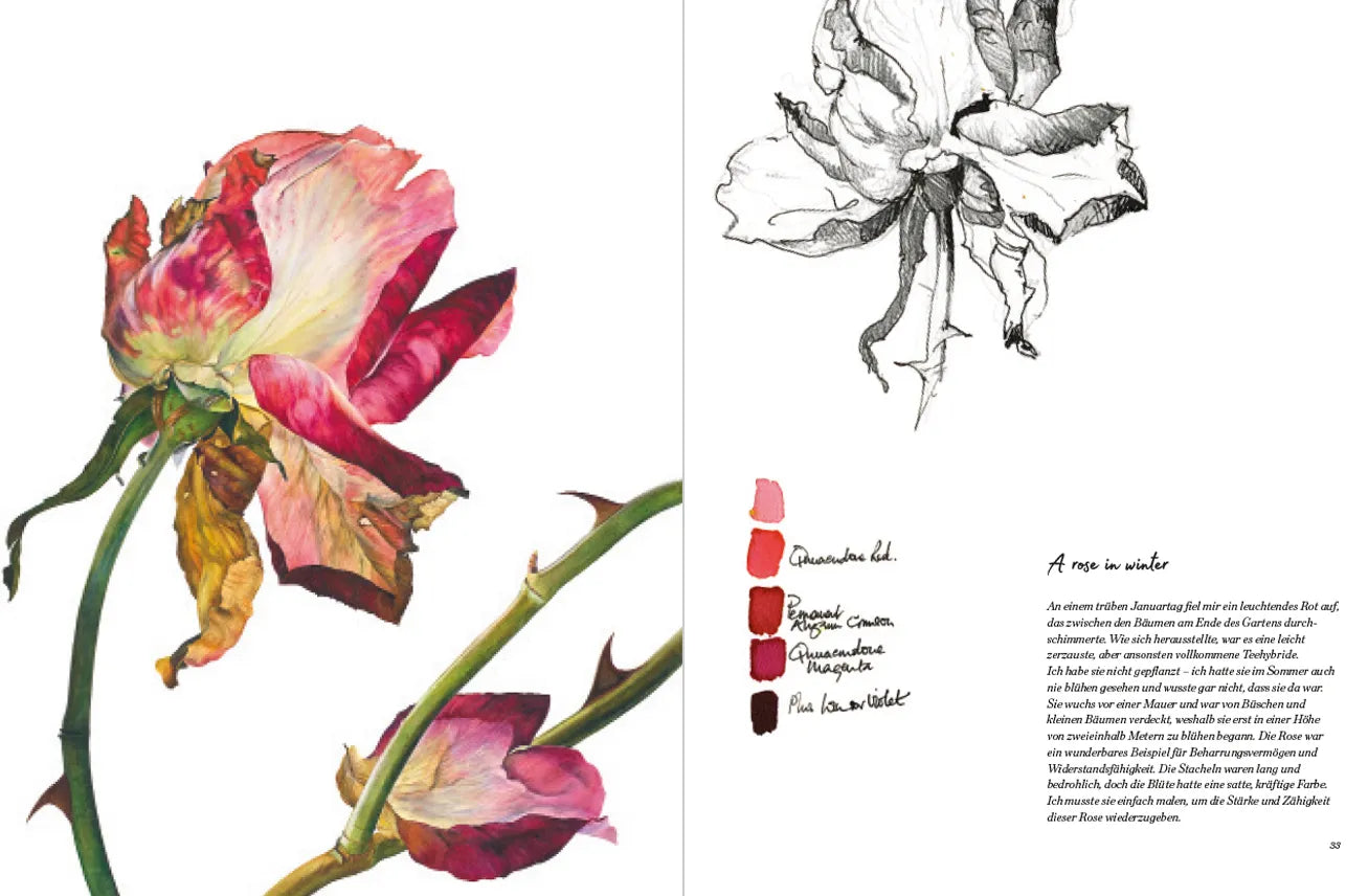 Produktansicht: Rosen (Gebundene Ausgabe)