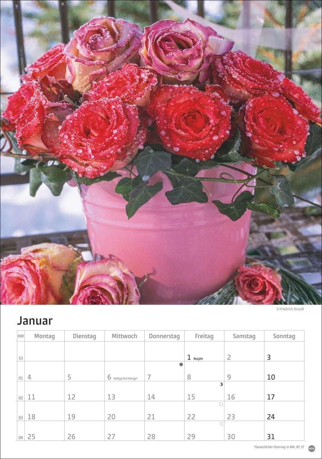 Rosenpracht Kalender 2027 – Ansicht