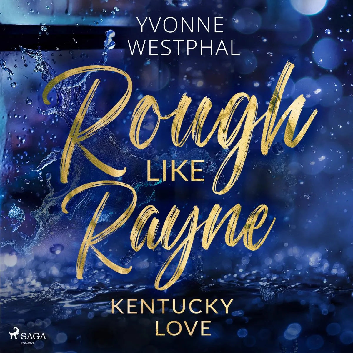 Cover: Rough Like Rayne (Hörbuch Download) von Yvonne Westphal