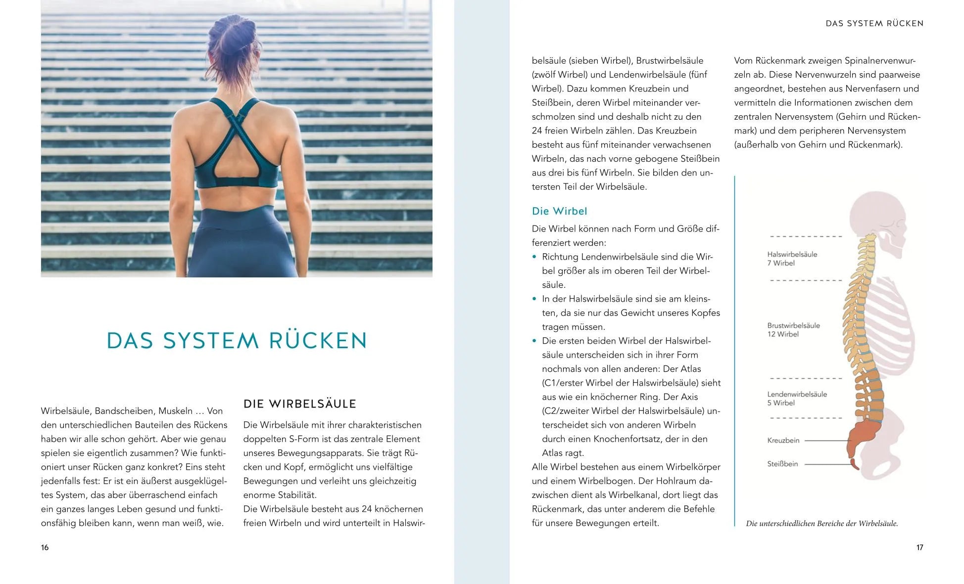Produktansicht: Rücken & Bandscheiben Schmerzen selbst behandeln (Taschenbuch)